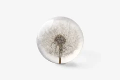 Dekorationsdetaljer*Hafod Grange Brevtyngd Flora