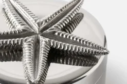 Dekorationsdetaljer|Tenndekorationer*Svenskt Tenn Burk Sjöstjärna