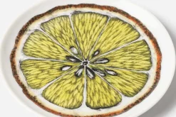 Underlägg & Tabletter|Dukningsdetaljer*Fornasetti Coaster Apelsin, Multi