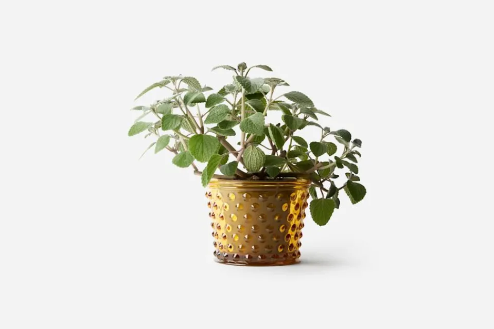 Vaser|Krukor & Krukfat*Josef Frank Kruka Hortus Bärnsten