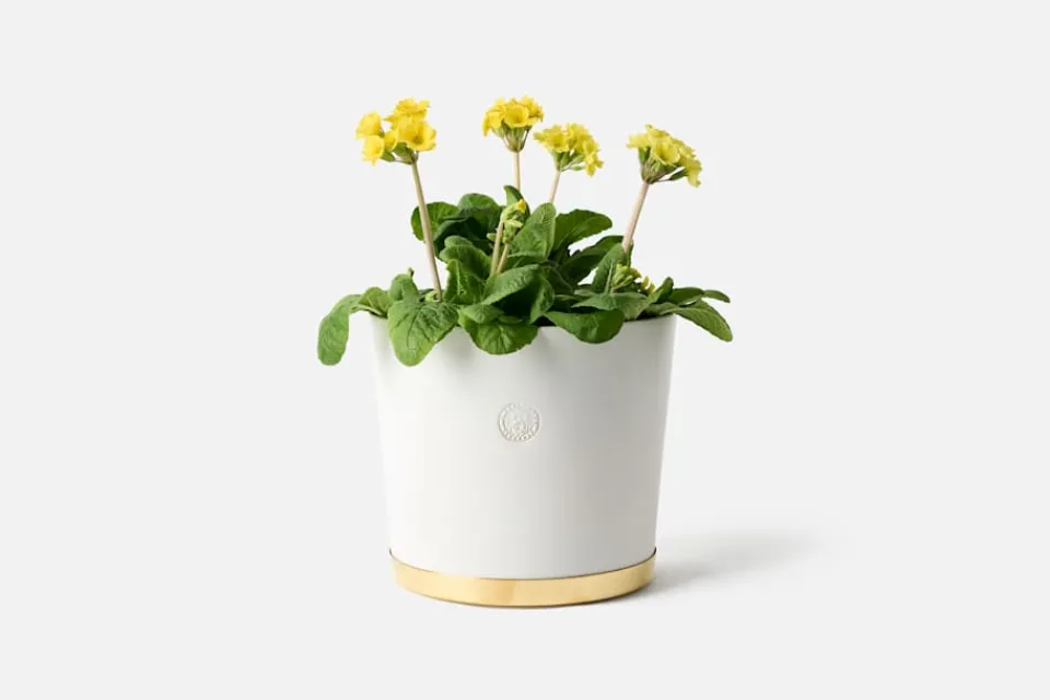 Krukor & Krukfat*Erika Pekkari Kruka Tolvekarna Äggskal