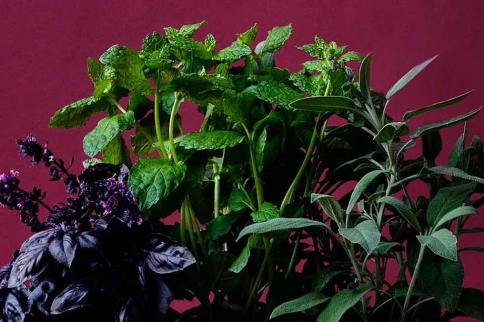 Krukor & Krukfat*Erika Pekkari Kruka Tolvekarna Stengods, Gul