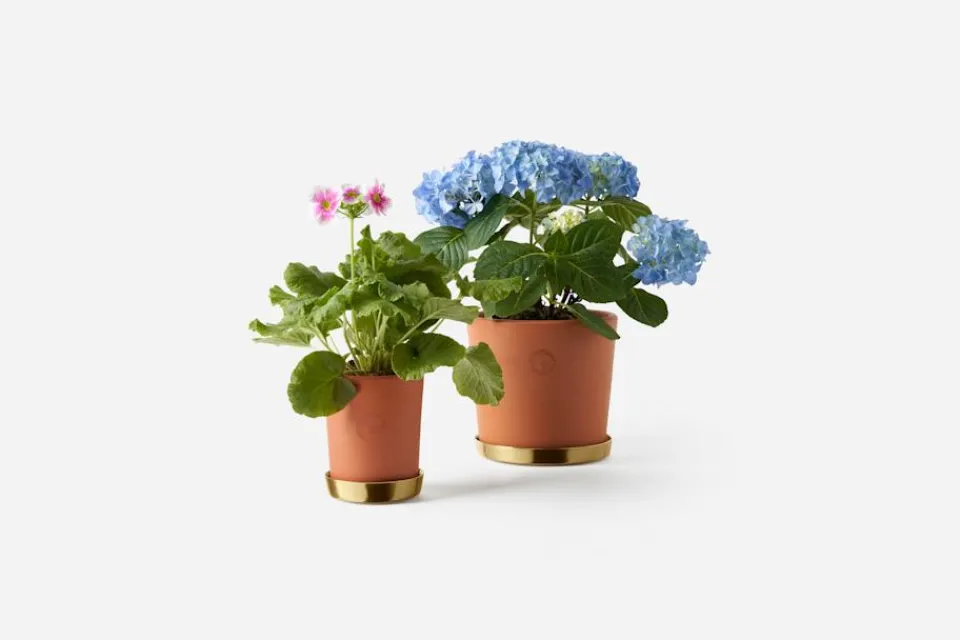 Krukor & Krukfat*Erika Pekkari Kruka Tolvekarna Terrakotta, Terrakotta