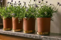 Krukor & Krukfat*Erika Pekkari Kruka Tolvekarna Terrakotta, Terrakotta