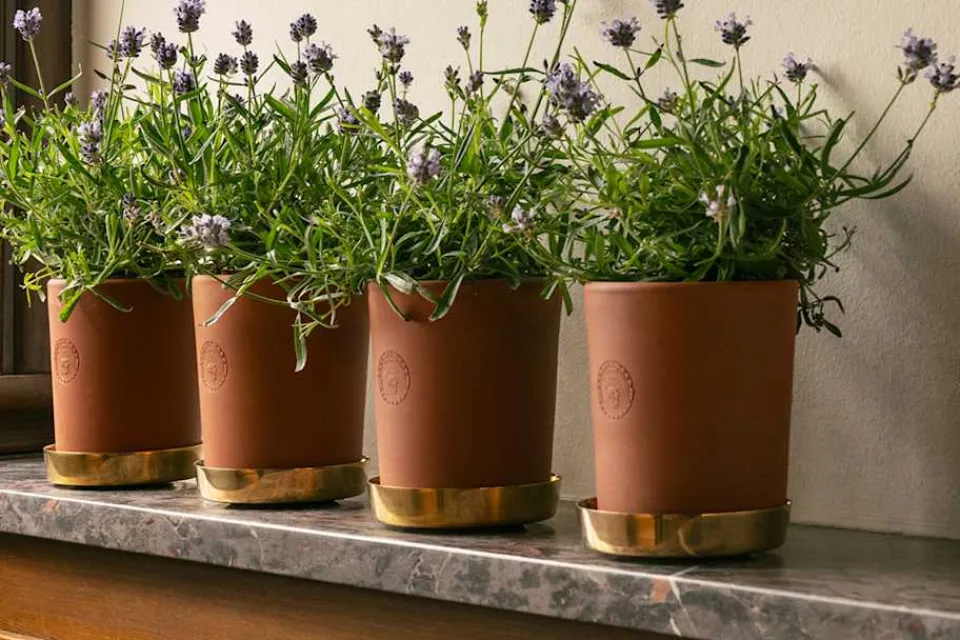 Krukor & Krukfat*Erika Pekkari Kruka Tolvekarna Terrakotta, Terrakotta