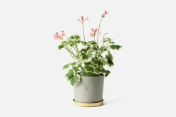 Krukor & Krukfat*Erika Pekkari Kruka Tolvekarna Ostron