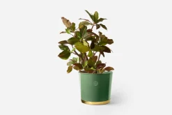 Krukor & Krukfat*Erika Pekkari Kruka Tolvekarna Celadon