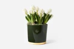 Krukor & Krukfat*Erika Pekkari Kruka Tolvekarna Mossgrön