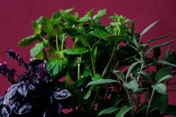 Krukor & Krukfat*Erika Pekkari Krukfat