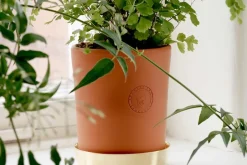 Krukor & Krukfat*Erika Pekkari Krukfat