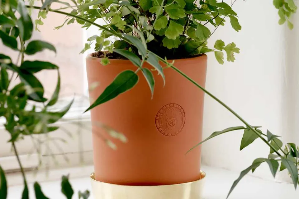 Krukor & Krukfat*Erika Pekkari Krukfat