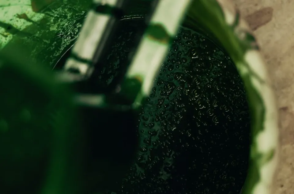 Kuddar*Josef Frank/Svenskt Tenn Kudde Aristidia Röd