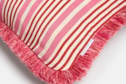 Kuddar*Svenskt Tenn Kudde Jodhpur