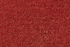 Mattor*Svenskt Tenn Matta Handtuftad Orange