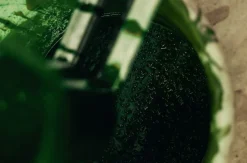 Plädar*Josef Frank/Svenskt Tenn Pläd Aristidia