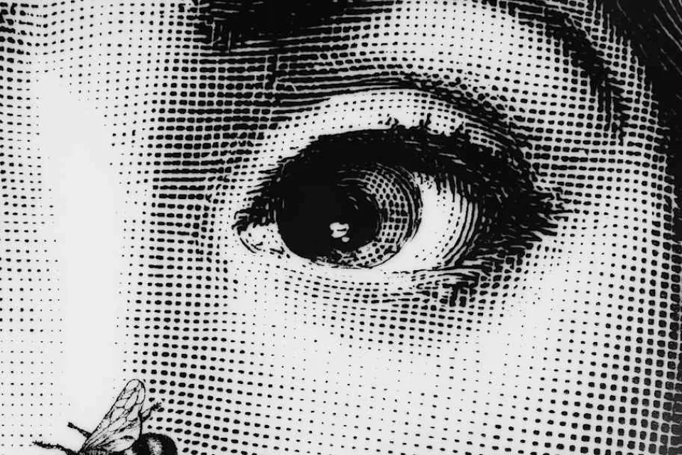 Dekorationsdetaljer|Tallrikar & Skålar*Fornasetti Tallrik