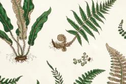 Tygprover|Tyg På Metervara*GP & J Baker Tygprov Stensöta