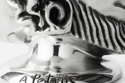 Vaser|Tennvaser & Tennkrukor*Anna Petrus Vas Janushuvud