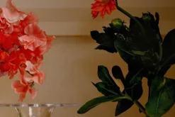 Vaser*Josef Frank Vas Nr 8