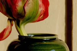 Vaser*Annali Shulin Andersson Vas Oribegrön