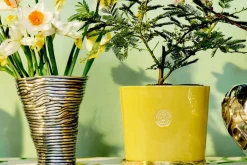 Vaser|Tennvaser & Tennkrukor*Annika Jarring Vas Randig