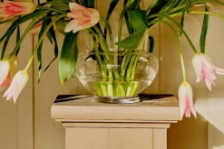 Vaser*Josef Frank Vas Sung