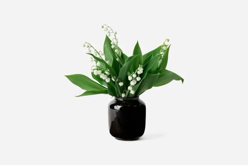 Vaser*Annali Shulin Andersson Vas Temmokusvart