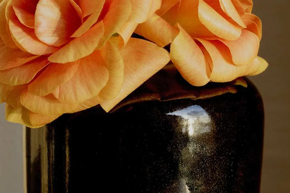 Vaser*Annali Shulin Andersson Vas Temmokusvart