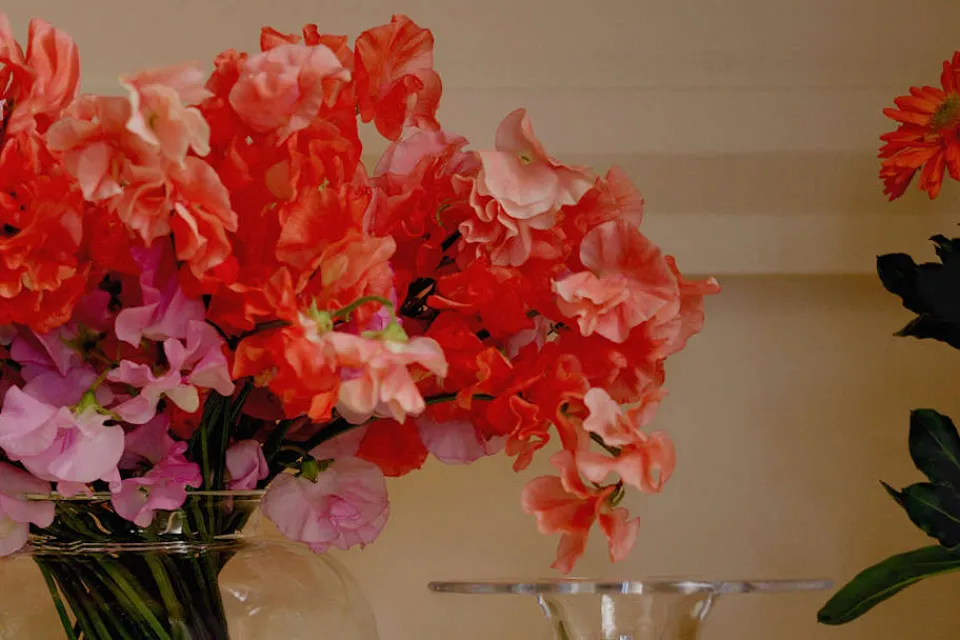 Vaser*Josef Frank Vas Urna